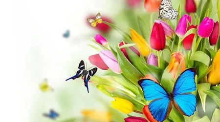 Дорогие женщины, поздравляем вас с&nbsp;Международным женским днем