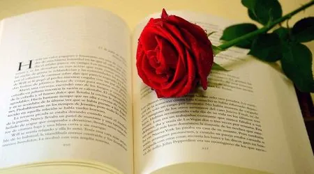 День книги в&nbsp;Испании