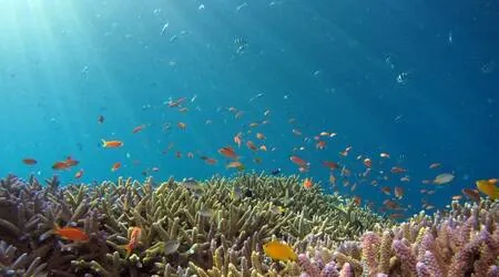 Отдых на&nbsp;берегу красного моря